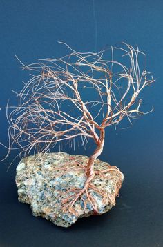 a bonsai tree on a rock with its roots sprouting from the top