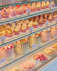 a display case filled with lots of different types of cakes and cupcakes on top of it