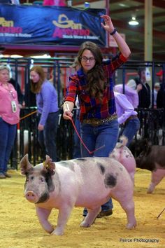 a woman walking a pig on a leash in an indoor area with other people watching