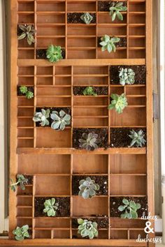 a wooden shelf filled with lots of succulents