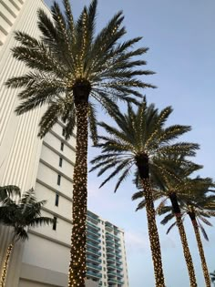 palm trees with lights on them in front of a hotel