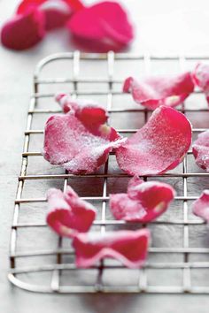 some pink petals are on a metal rack