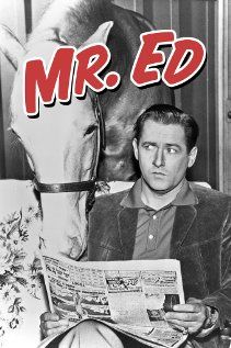 a man reading a magazine with a horse in the background and an advertisement for mr ed