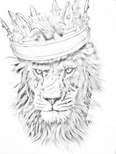 a drawing of a lion wearing a crown