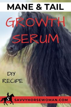 the mane and tail of a black horse with text overlay that reads, growth serum diy recipe