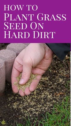 someone is digging in the dirt with their hand on top of some plants and grass