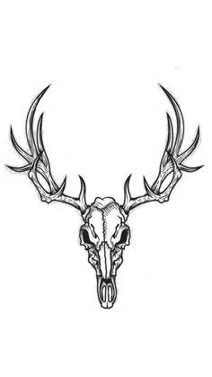 a deer skull with large antlers on it's back and two horns in the middle