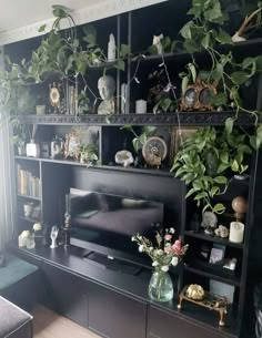 a living room filled with furniture and lots of plants on top of it's shelves