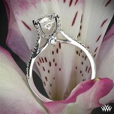 a close up view of a diamond ring on top of a pink and white flower