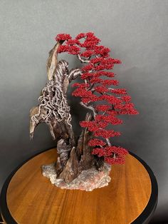 a bonsai tree with red flowers on a wooden table