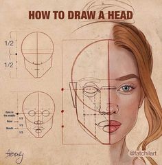 a drawing of a woman's face with lines drawn on it and the words how to draw a head