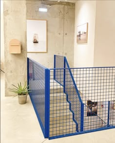 a blue gate that is next to a set of stairs in a room with pictures on the wall