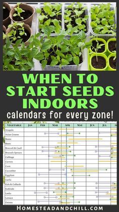 seeding calendar with the words when to start seeds indoors, it is important for every zone