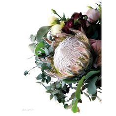 an artichoke surrounded by flowers and greenery on a white background with copy space