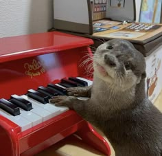 an otter is playing the piano with its paw on it's chin, while standing in front of a red toy piano