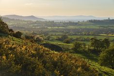 the sun shines brightly on green hills and fields