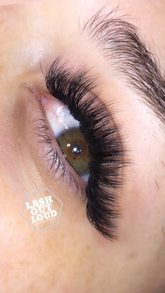 Color Eyebrows, Eyelash Extensions Volume, Pretty Eyelashes, Lash Ideas, Lash Extensions Styles, Natural Eyelash Extensions, Volume Eyelash Extensions