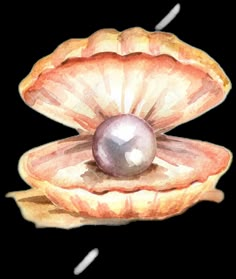 watercolor painting of an oyster shell with a pearl