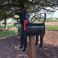 a dog shaped mailbox sitting on top of a wooden post