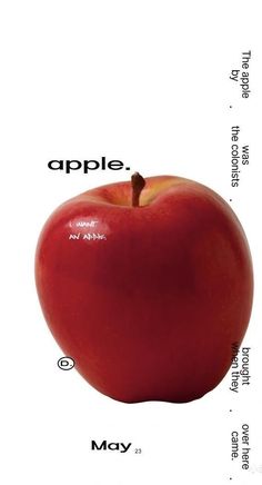 an apple is shown with the words apples and other things on it's side