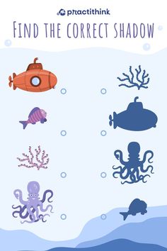 an underwater scene with different types of sea animals and other things to see in the water