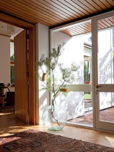 a vase with a plant in it sitting on the floor next to an open door