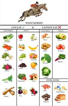 an image of a horse that is in the middle of a chart with different fruits and vegetables