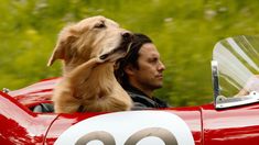 a dog sitting on the driver's seat of a race car with his owner