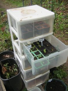 several plastic containers filled with plants and dirt