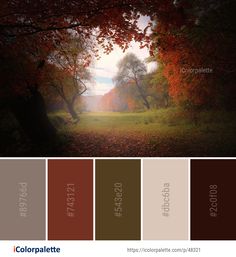 November Colour Palette, Autumnal Colour Palette, Autumn Pallet, Fall Pallet Ideas, Pallette Ideas, Fall Color Pallet, Autumn Colour Palette, Deep Autumn Color Palette, Soft Autumn Color Palette