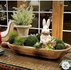 a wooden bowl filled with plants on top of a table