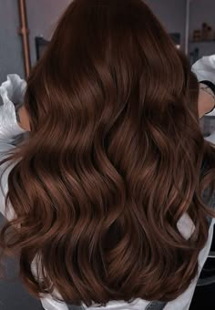 Rich Brown Hair, Chestnut Hair, Brown Hair Inspo, Hair Color Auburn, Brown Hair Balayage, Hair Shades, Auburn Hair