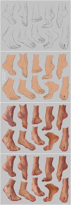 an image of different types of feet