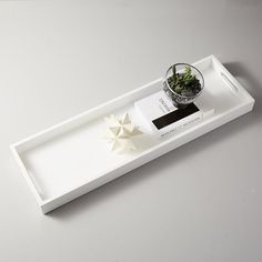 a white tray with a plant on it