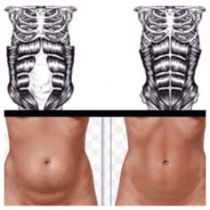 Diástase Abdominal, Body After Baby, Modele Fitness, Mommy Workout, Diastasis Recti, Post Baby, Post Partum