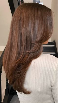 Rambut Brunette, Chestnut Hair, Chestnut Hair Color, Honey Brown Hair, Hair Inspiration Long, Ginger Hair Color, Hairstyles For Layered Hair