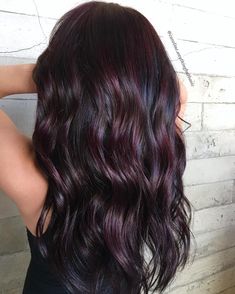 Black Hair With A Hint Of Red, Mulberry Balayage Hair, Chocolate Merlot Hair, Subtle Burgundy Balayage, Fall Beauty Ideas, Subtle Burgundy Hair, Brunette With Burgundy Highlights, Easy Upkeep Hair Color, Wine Highlights On Dark Hair