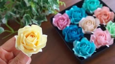 a hand holding a small yellow and pink rose in it's right hand next to a box of flowers