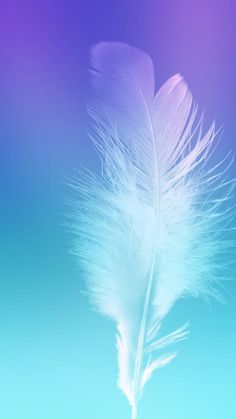 a white feather floating in the air on a blue and purple background