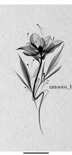 a black and white drawing of a flower with the words tattooist ink on it