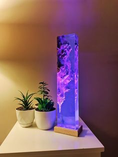 a purple light that is on top of a table next to two potted plants