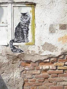 a drawing of a cat on the side of a building