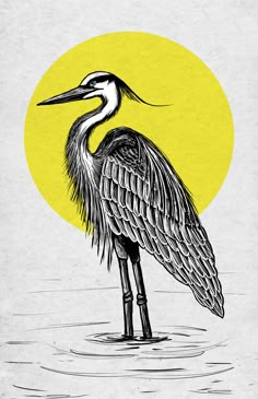 Black and white illustration of a Great Blue Heron, set against a yellow geometric sun. www.studio176.work Heron Aesthetic, Painting To Sell, Heron Illustration, Geometric Sun, Illustration Elements, Deconstructivism