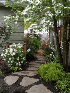 a stone path leading to a house with white flowers