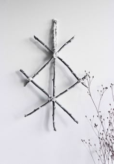 a snowflake hanging on the wall next to some branches and flowers in front of it