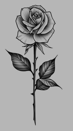 a black and white rose with leaves on it