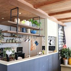 the kitchen is clean and ready for us to use it's counter tops are covered with potted plants