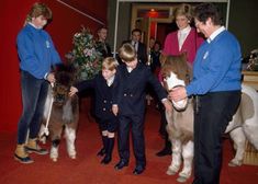 Diana With Her Sons, Young Prince William, Shetland Ponies, Princess Diana Family, Shetland Pony, Prince William And Harry, Young Prince, London Photos, Diana Princess Of Wales