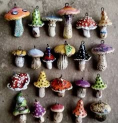 there are many different types of mushrooms on the floor