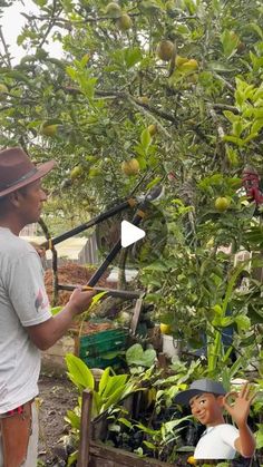 a man standing next to a tree filled with fruit